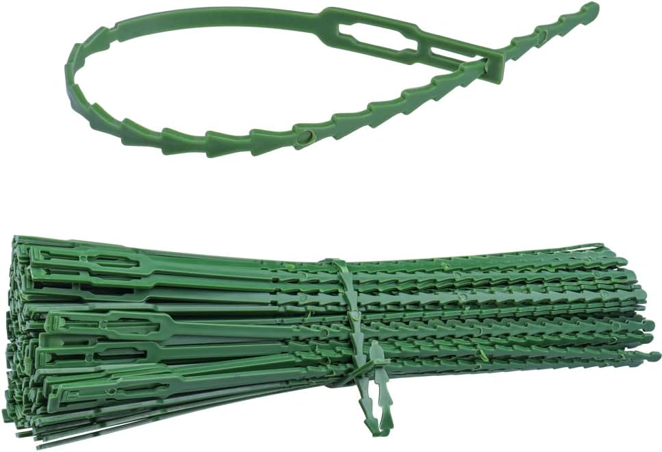 Mesee 150Pcs Attaches de Plantes Réglables de Jardinage 230mm Attache Soutien de Jardin Lien de Serrage en Plastique Réutilisable pour Soutenir Vignes Tomates Arbustes Plantes (Vert)