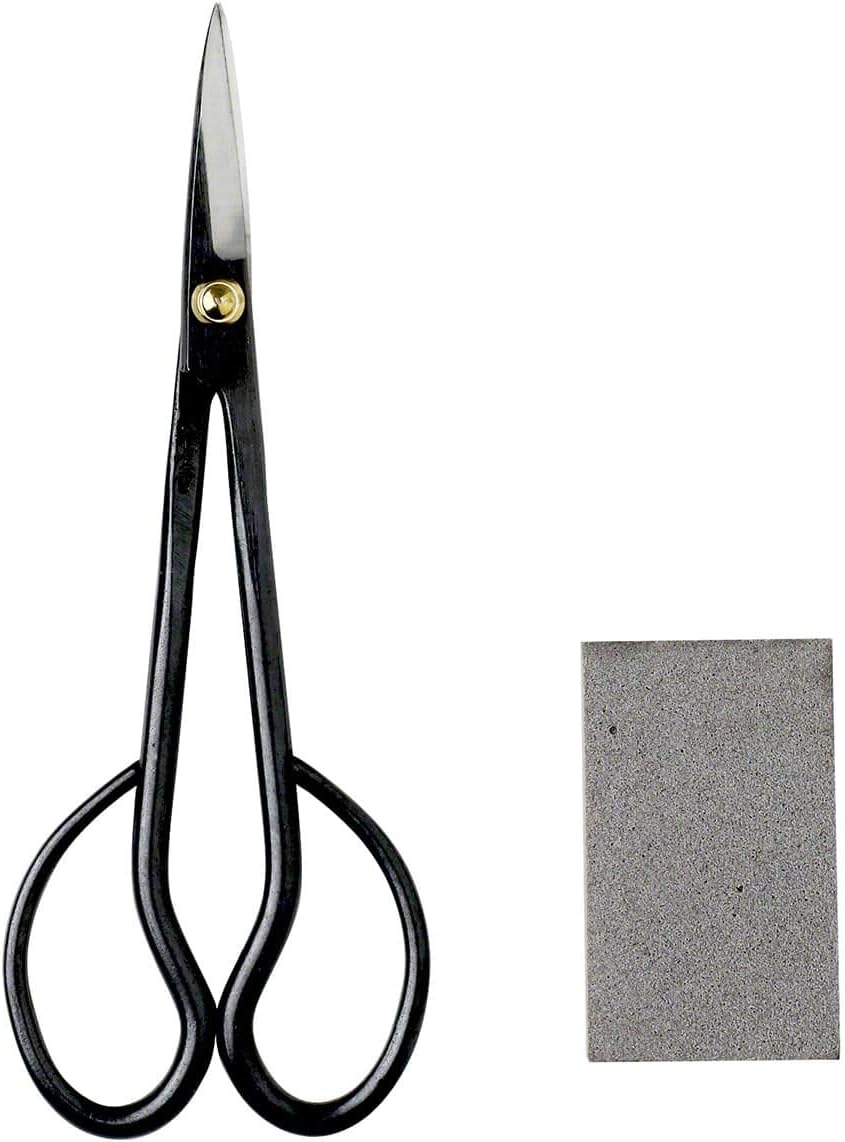 Wazakura Kit Entretien Bonsaï : Ciseaux Satsuki 180 mm et Gomme à Sève