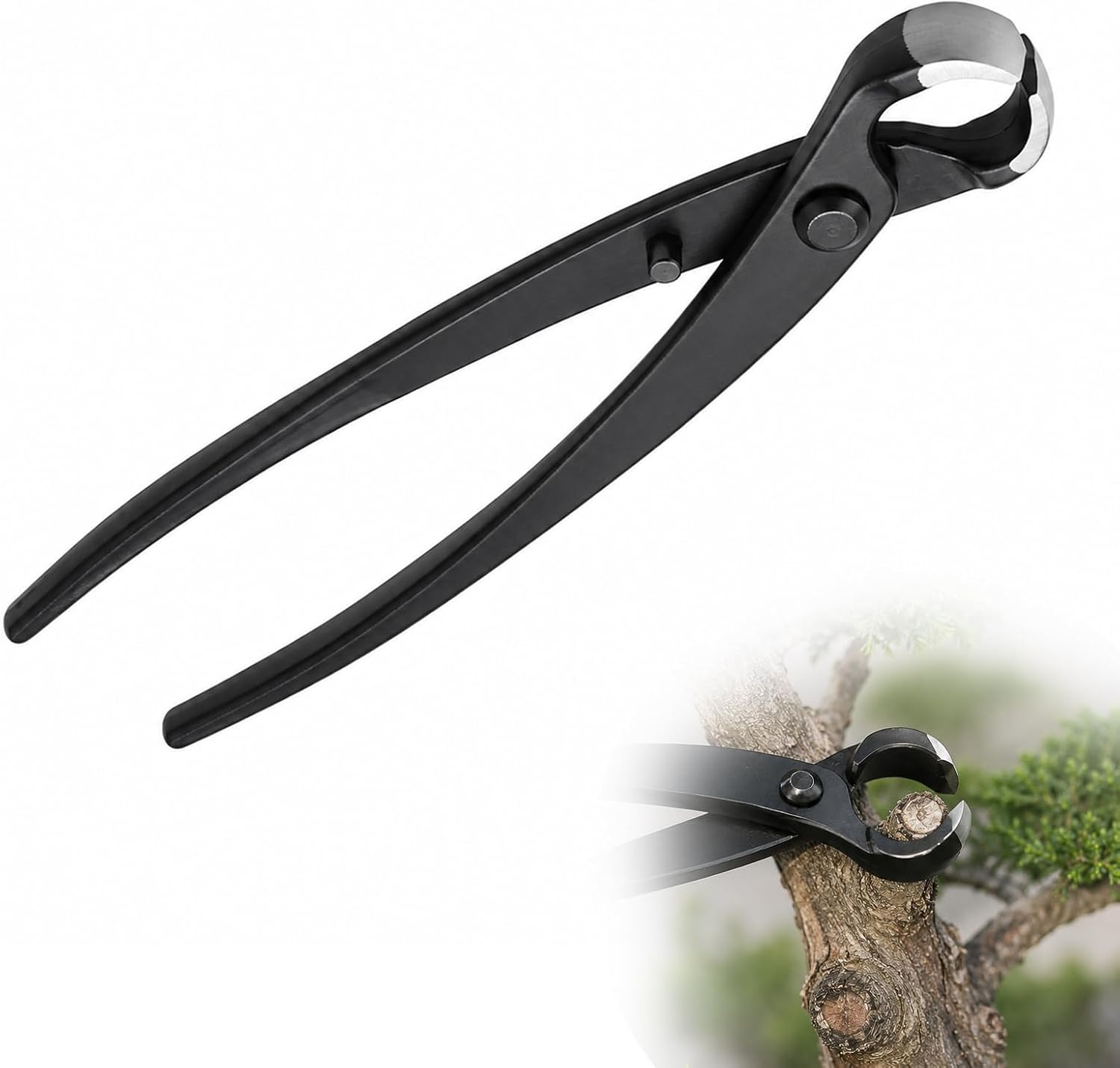 Zolara 1 Pince Concave pour Bonsaï, Coupe Branche à Manche Courbé 210 mm, Pince à Bonsaï, 21 x 7 x 7,6 cm, Outil de Taille pour Bonsaïs et Petites Branches au Jardin