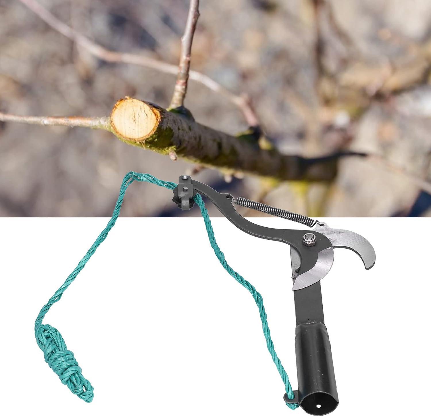 Sécateur à haute altitude, sécateur télescopique à haute altitude, outils de jardinage tranchants et durables pour la vigne de brindille de plante