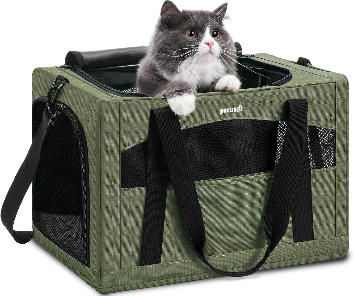 Pecute Sac de Transport Chat et Chien, Cadre Stable, Pliable, Vert