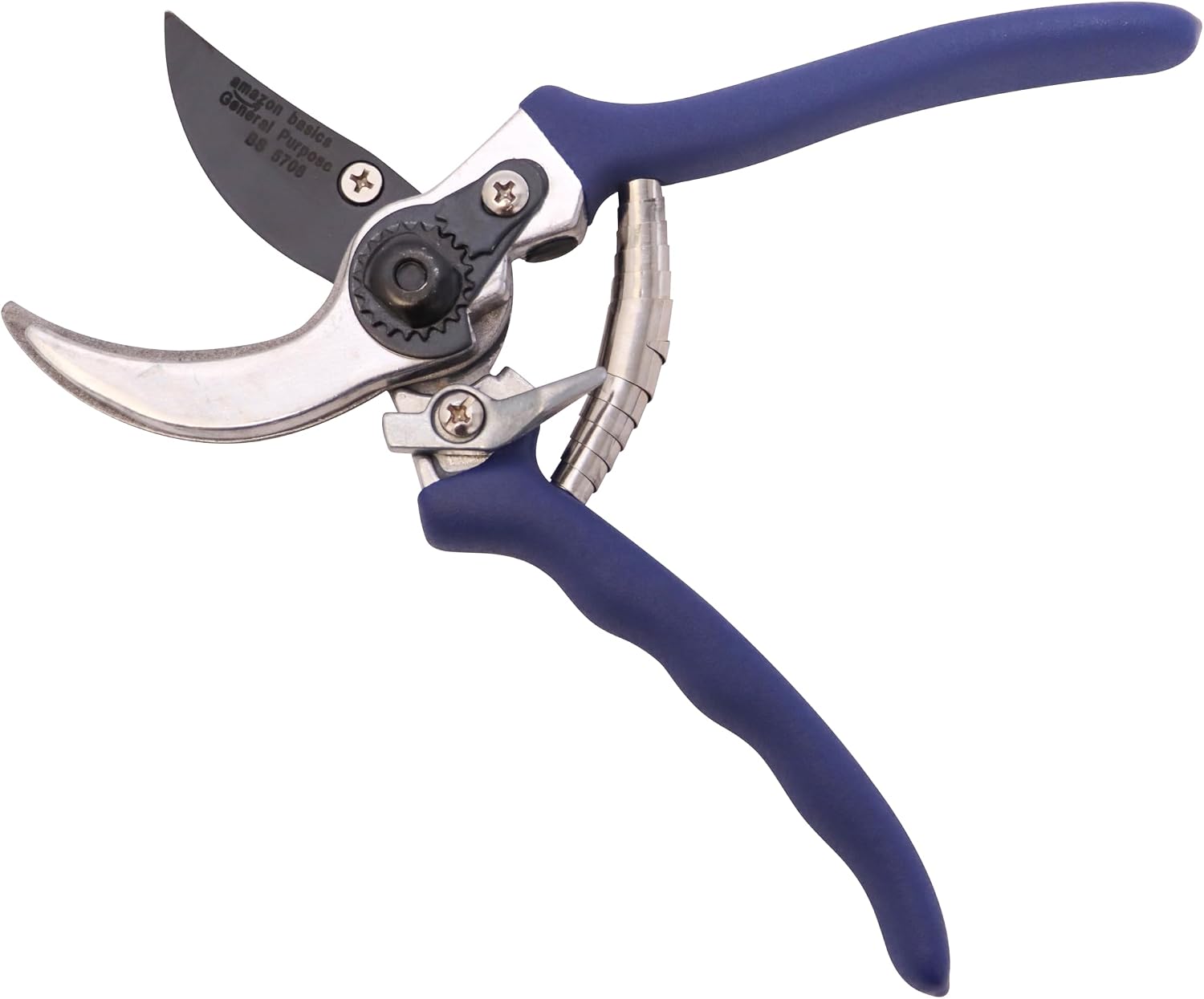 Amazon Basics Sécateur, Bleu
