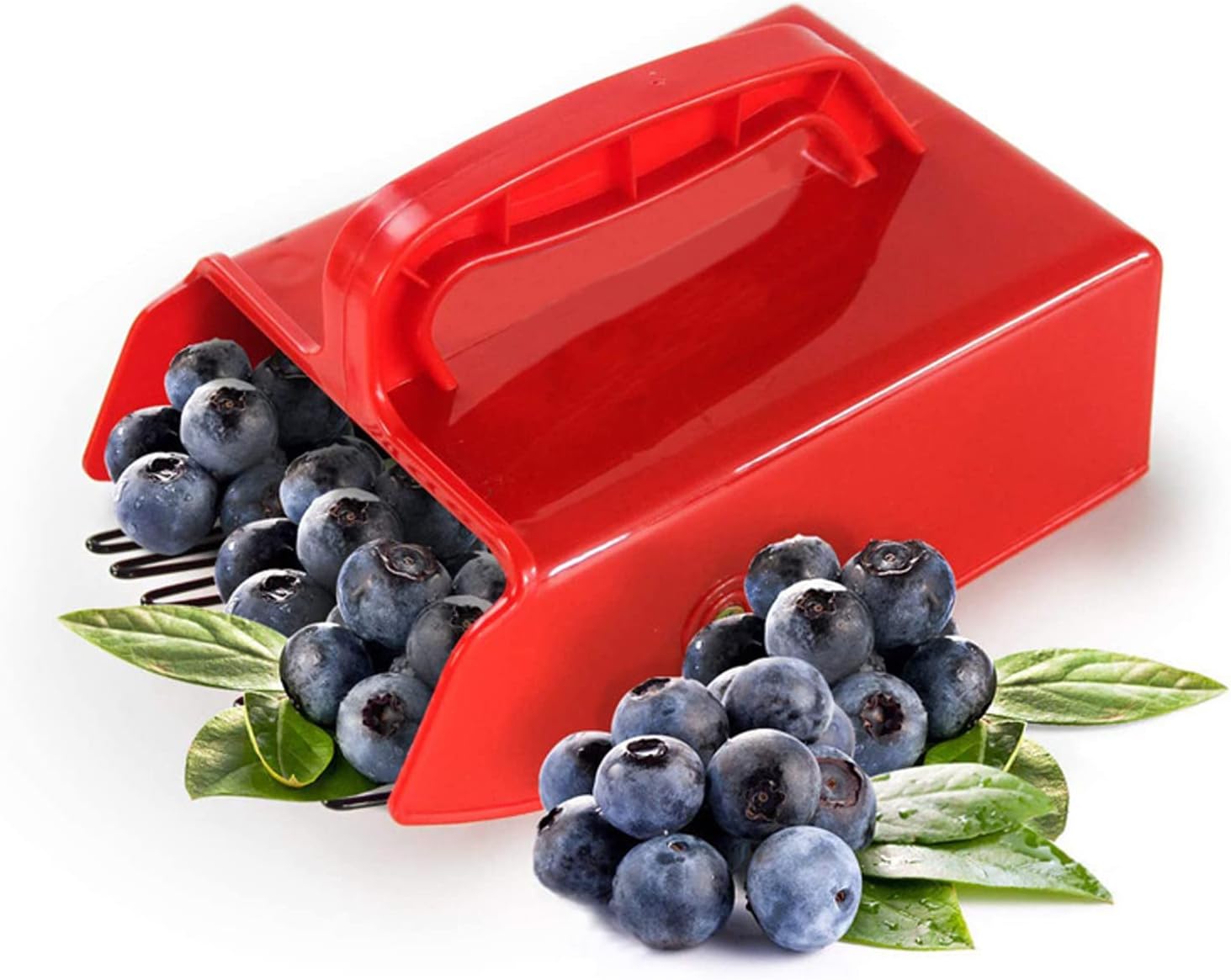 banapoy Cueilleur de Baies, Cueilleur de Myrtilles en Métal avec Peigne Métallique, Poignée Ergonomique pour Les Airelles Rouges, Les Myrtilles Et Les Framboises, Cueilleur de Jardin