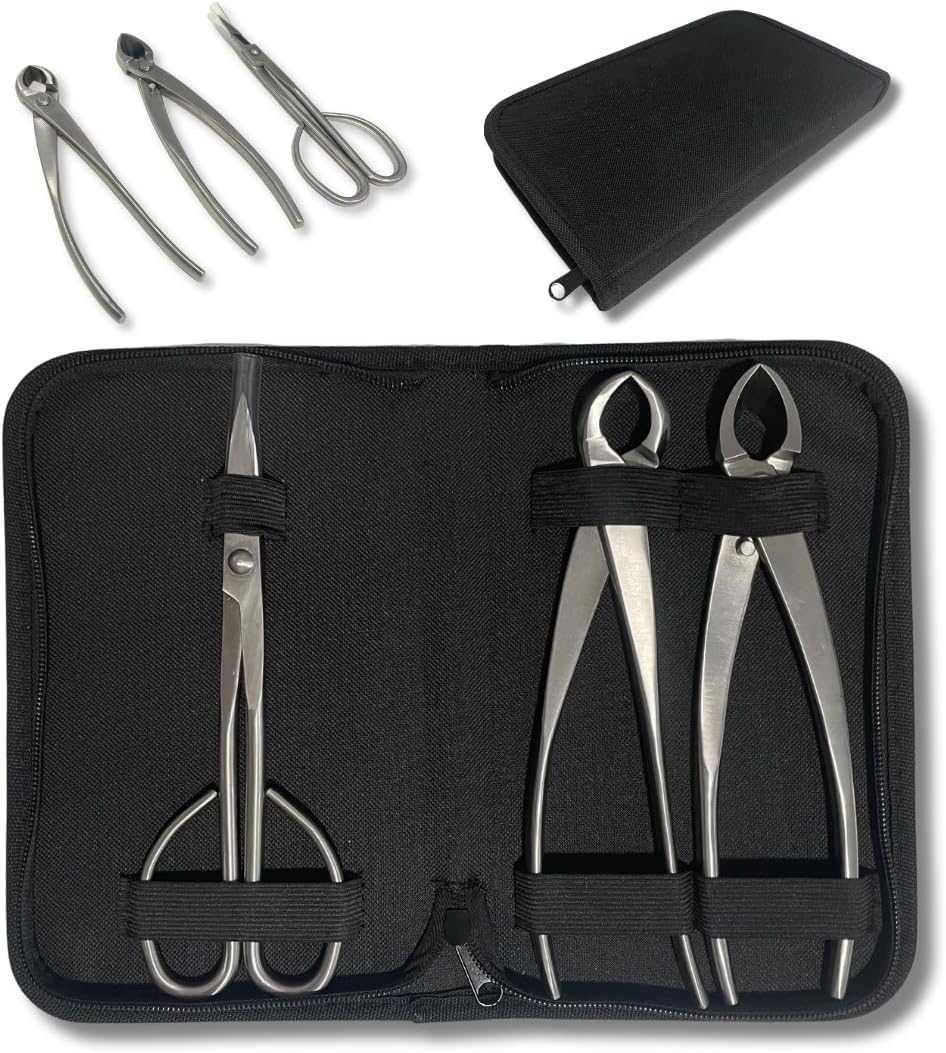 Kit d'outils professionnels pour bonsaï – Mallette d'entretien pour bonsaï avec ciseaux, sécateur concave et sécateur droit Indispensable pour l'entretien