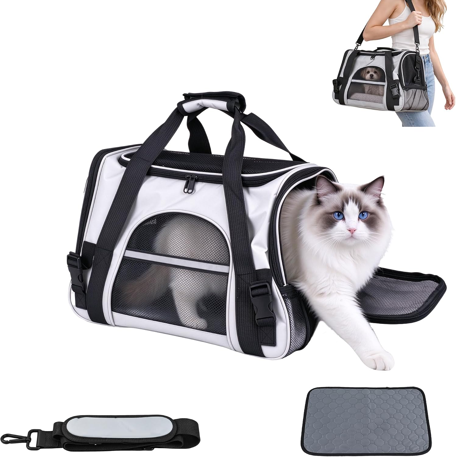 Caisse de transport pour chat jusqu'à 7,2 kg, sac de transport Kat