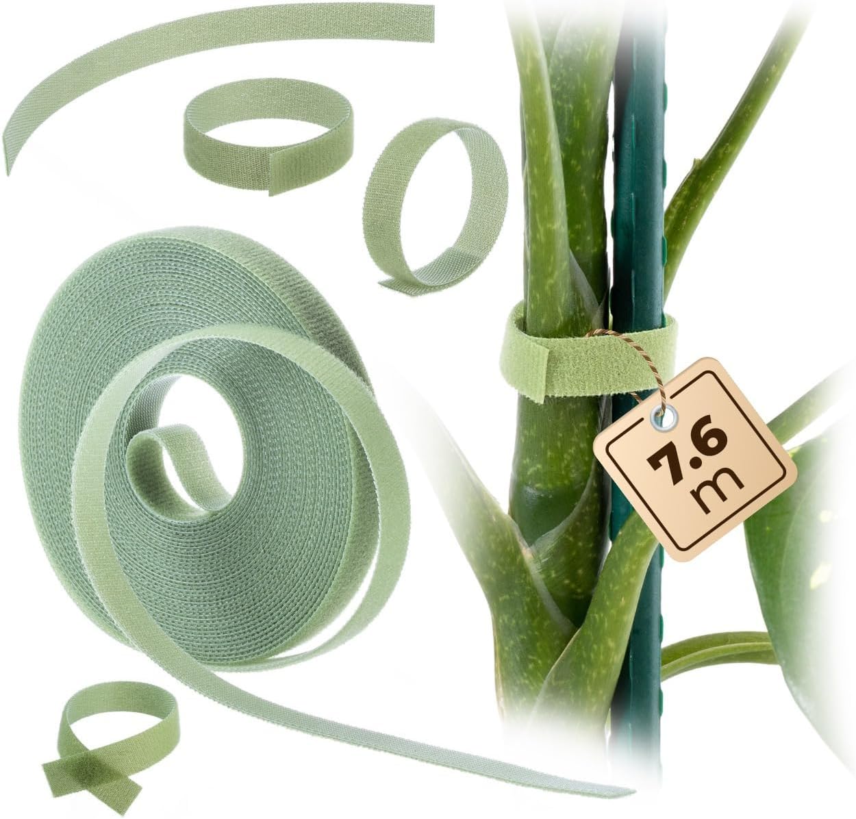 KADAX Bande Velcro pour plantes - 12 mm x 7,6 m - Pour fixer tomates, fleurs et tuteurs dans le jardin - Vert