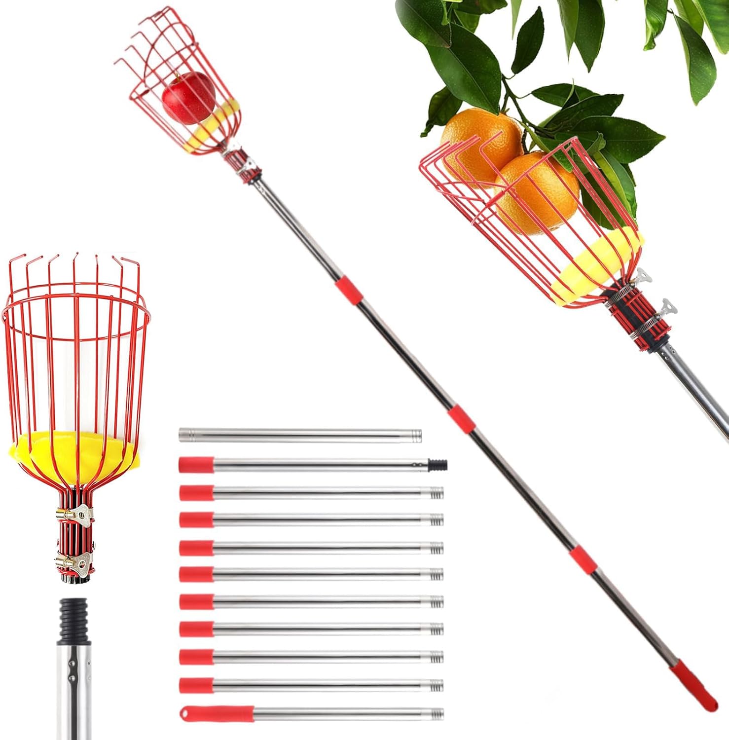 Cueille Fruit Telescopique, 4.2m Cueille Pomme Telescopique