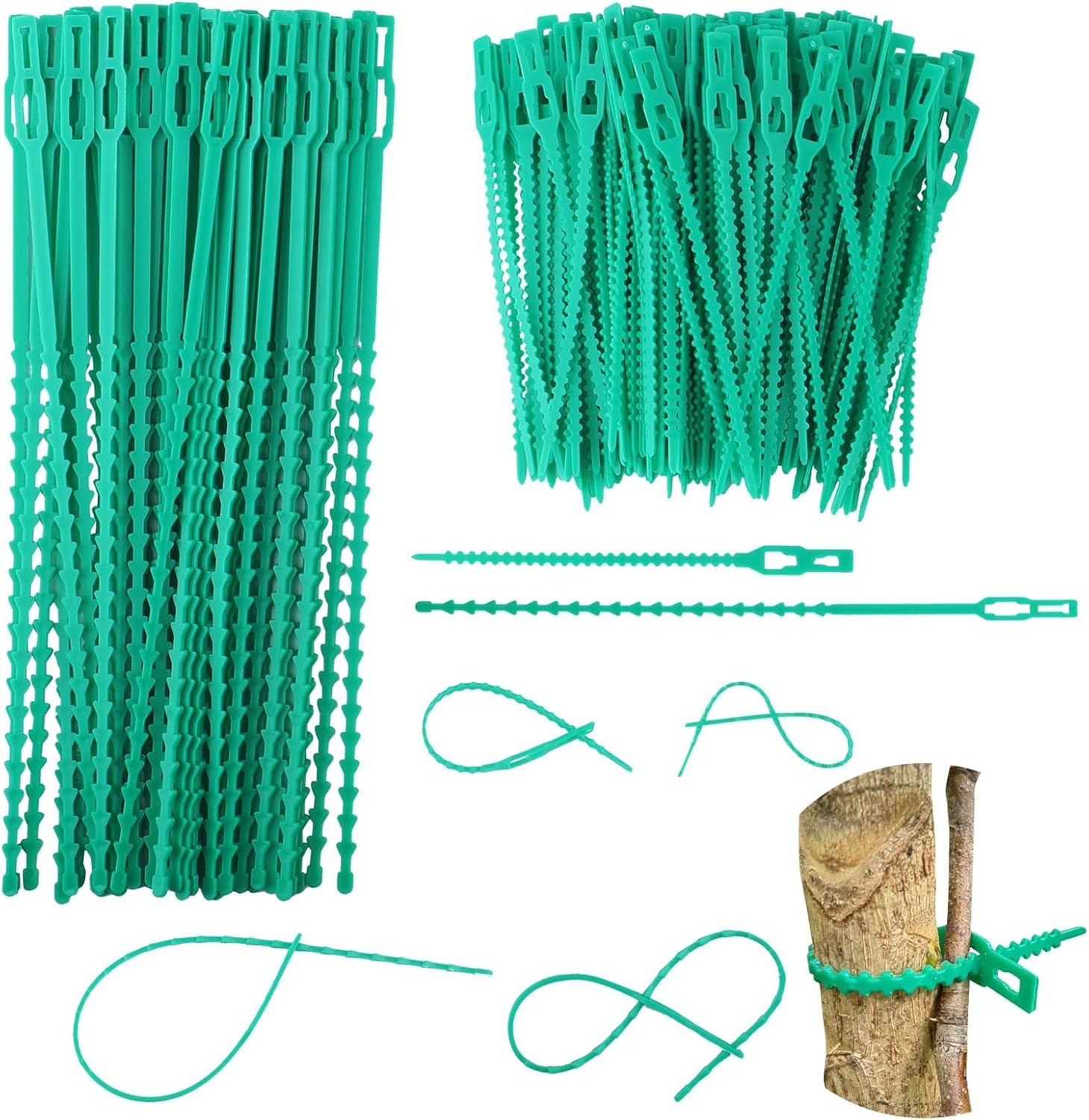 Lysjoy 100 Pièces Attaches de Plantes Réglables – 2 Tailles (13/23 cm) Liens de Jardinage Réutilisables, Attache Tomate et Plante Grimpante, Résistants aux Intempéries pour Jardin, Serre et Balcon