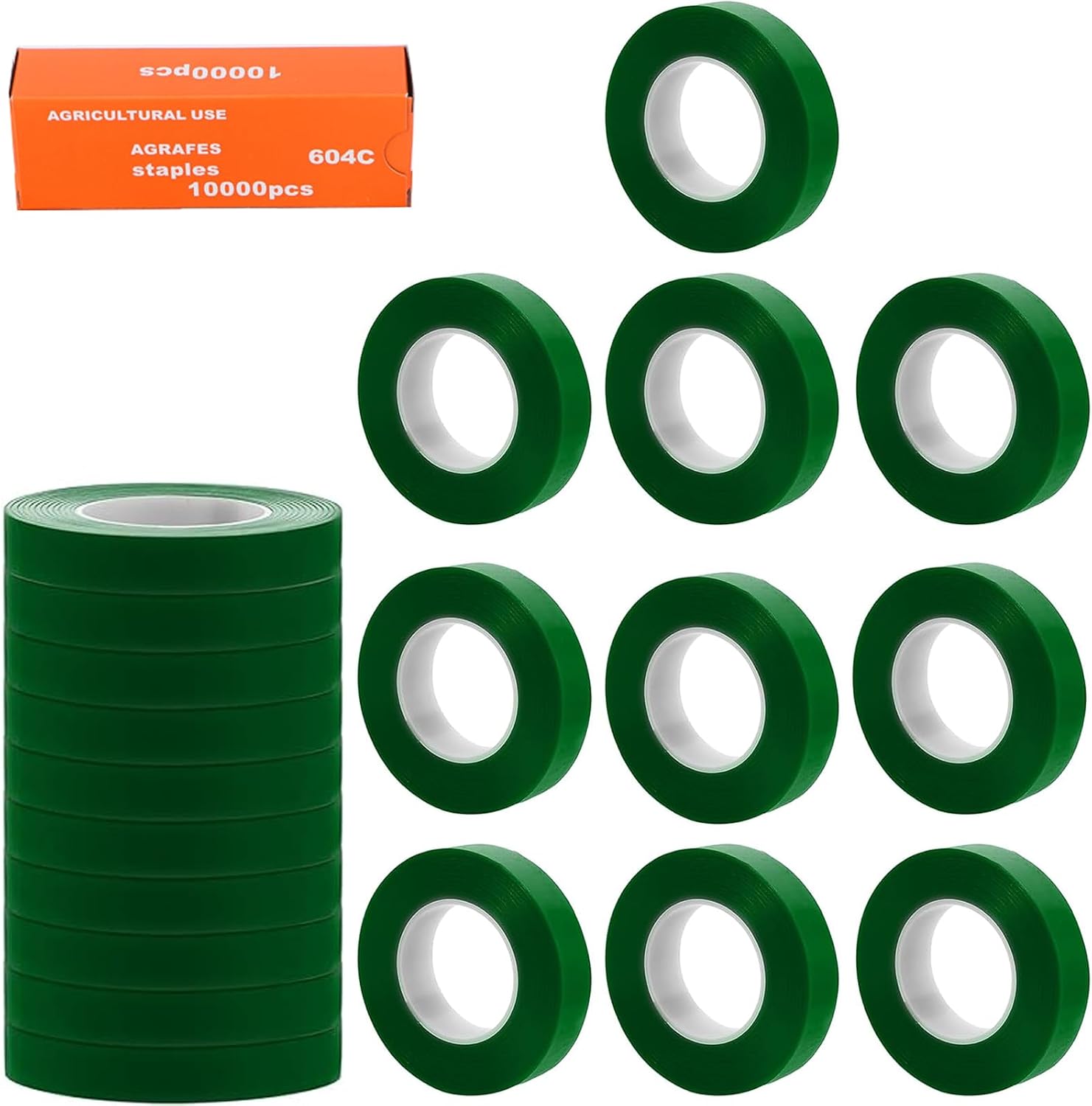 Ruban adhésif pour fixation de plantes, outil avec 20 rouleaux de ruban adhésif, 1 boîte d'agrafes, bandes pour fixation des plantes, emballage de jardin, pour élaguer les légumes et la machine