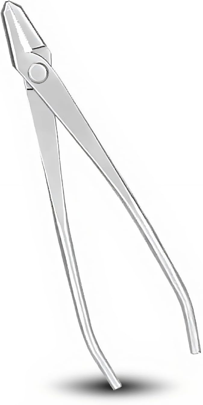 Coupe Bonsaï en Acier Inoxydable, Outil de Modélisation de Bonsaï Pinces Jin Bonsaï Outils et Accessoires Pour Bonsaï Outils Pour Bonsaï
