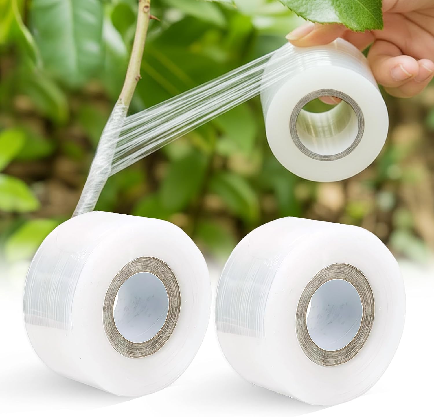 Greffage Ruban Greffage Transparent, 2 Pièces Auto-Adhésif Ruban de Greffe Biodegradable, Film a Greffer Extensible Bande de Greffage pour Greffer Pépinière Arbres Fruitiers Semis Fleurs