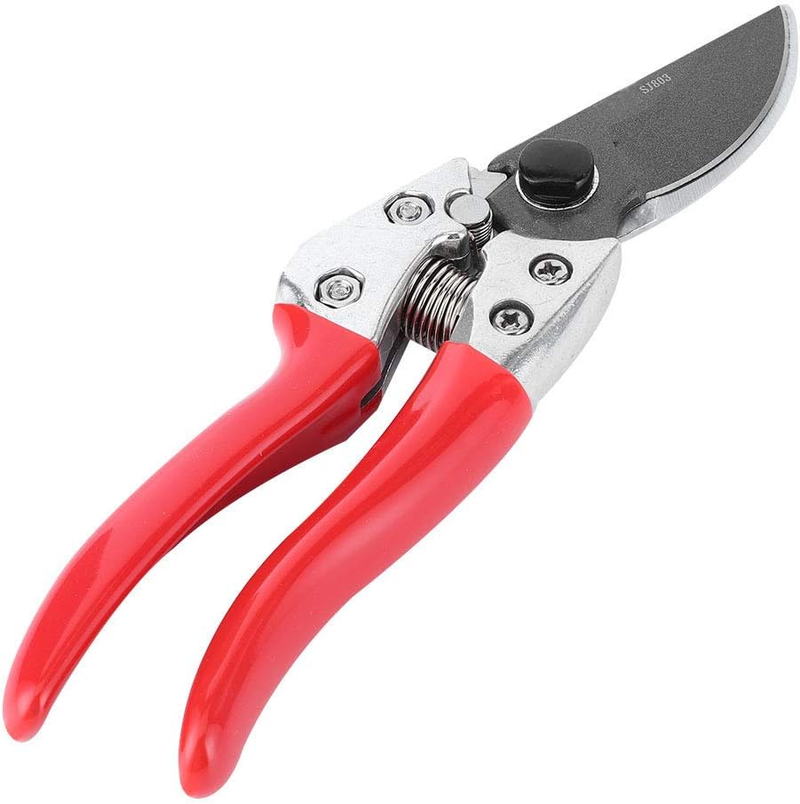 Sécateur agricole professionnel de jardin, sécateur de taille-bordures de fleur d'arbre fruitier, sécateur de main