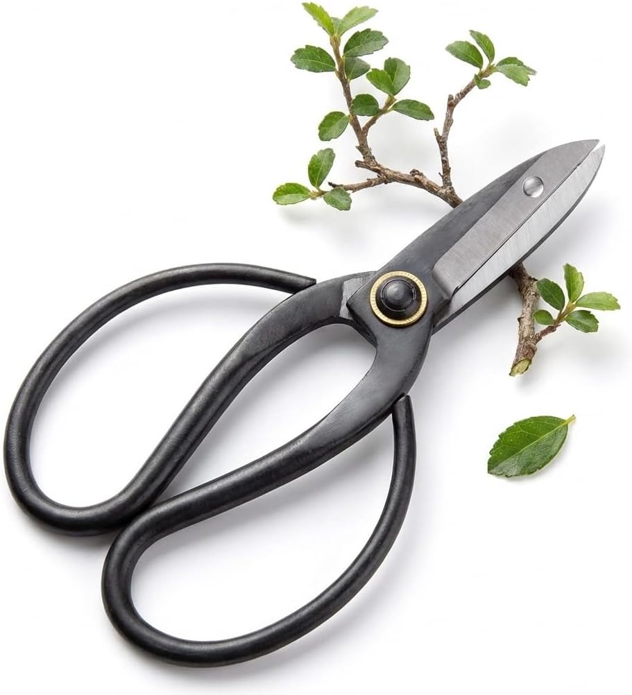 HappySeed Ciseaux à bonsaï en Acier Tranchant - Outil Traditionnel pour la Culture Professionnelle des bonsaïs - idéal pour Les bourgeons, Les Feuilles et Les Branches