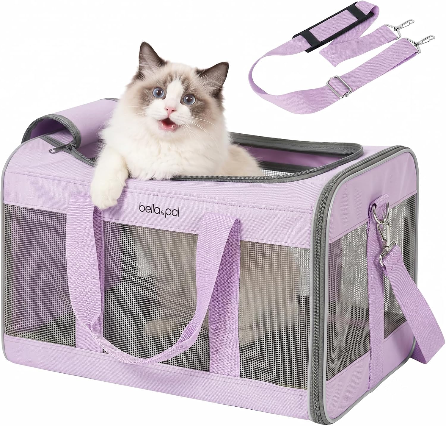 BELLA & PAL Sac de Transport pour Chat/Chiot, Pliable et Respirante avec Maille Anti-Rayures, Fermeture éclair Anti-évasion, Caisse de Transport pour Chats, avec Bandoulière, Approuvé Aériennes, M