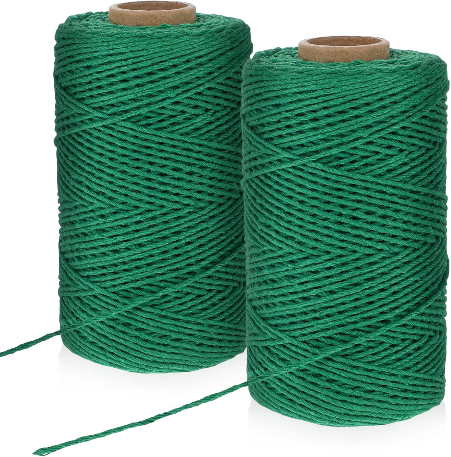 Lot de 2 rouleaux de ficelle de jardin - 100 m - Vert naturel - Fil résistant à la déchirure - Pour fleurs, travaux manuels, jardinage, cadeaux, décoration