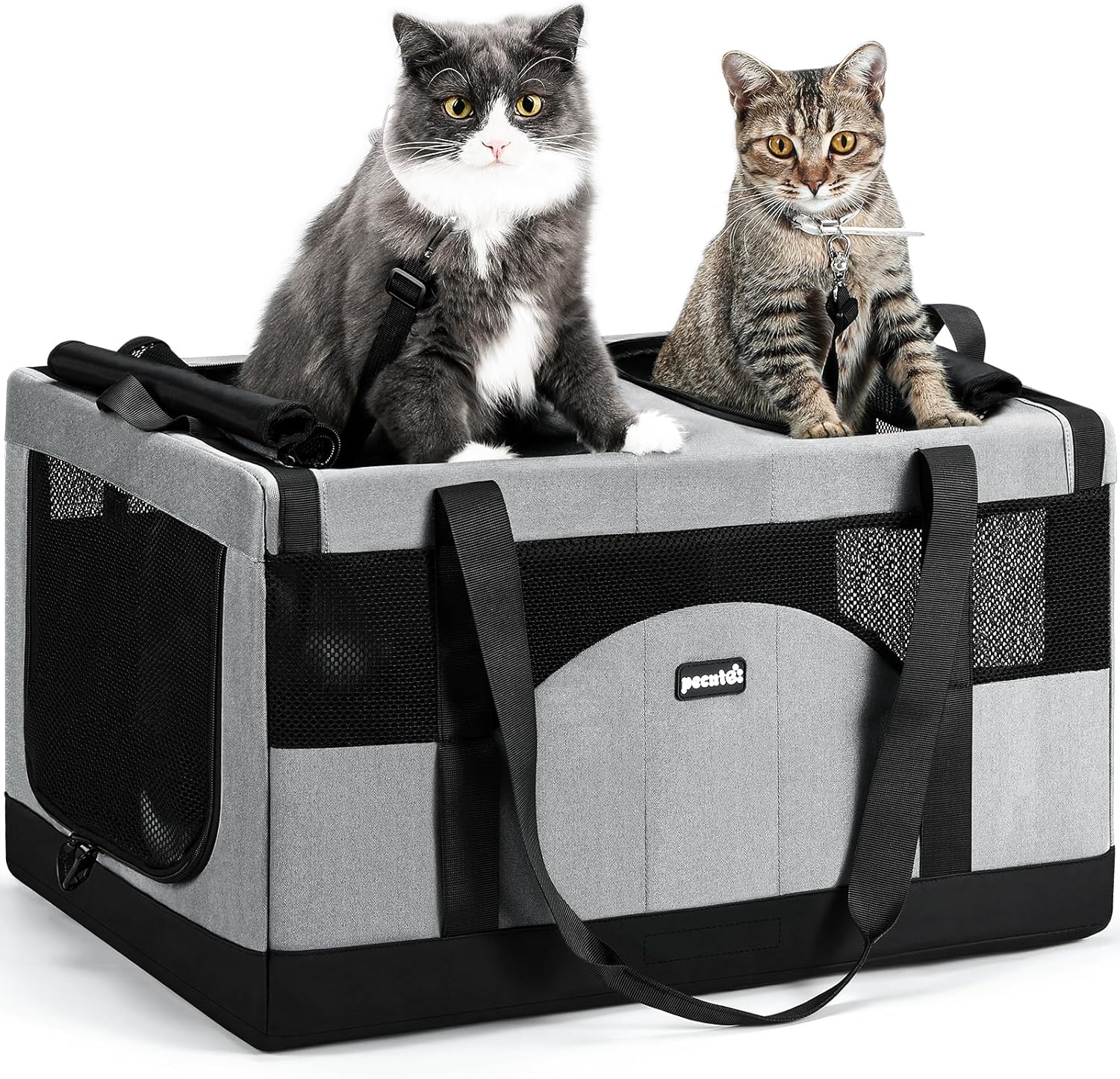 Pecute Sac de Transport pour 2 Chat, Cadre Ultra Stable, Pliable, Sac Transport Chat Portable, Écurie Sac de Transport pour Chiens de Compagnie Convient pour Les Voyages et Les Sorties, Vert