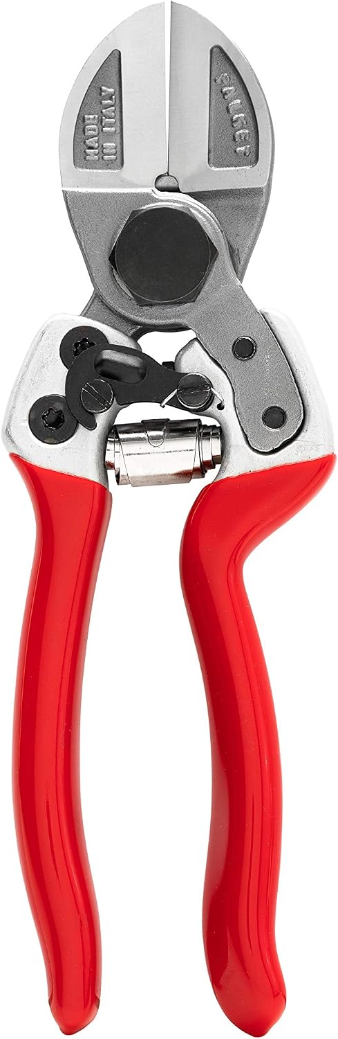 2012 Sécateur professionnel à double tranchant 21 cm