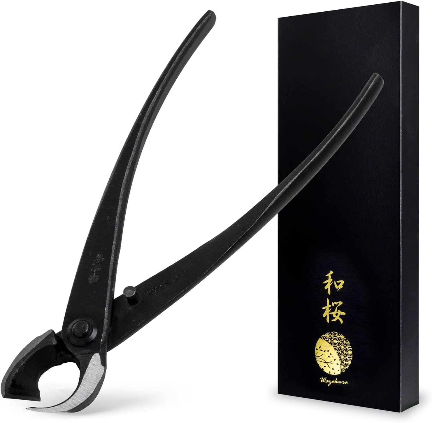 Wazakura Pince Concave Bonsaï 200 mm, Acier Carbone Noir, Forgée au Japon