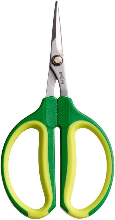 Romberg Ciseaux Bonsaï - 12093016 - Vert/jaune