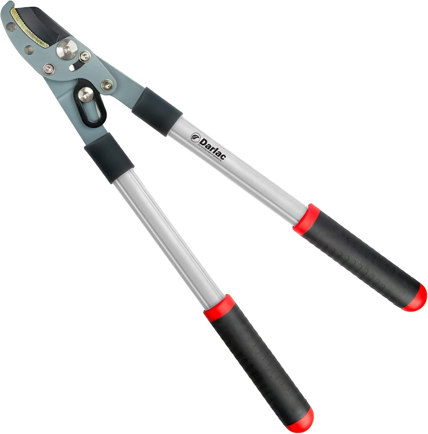 Darlac Élagueur de jardin à enclume compact, double action composée