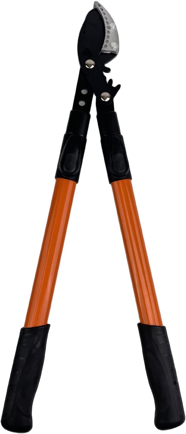 Coupe Branche Télescopique, 65 cm Sécateur avec Lames Revêtement Antiadhésif en Acier, Sécateur à Crémaillère Cisaille, Robuste Poignée pour la Coupe de Bois Vert, Couper Les Fleurs