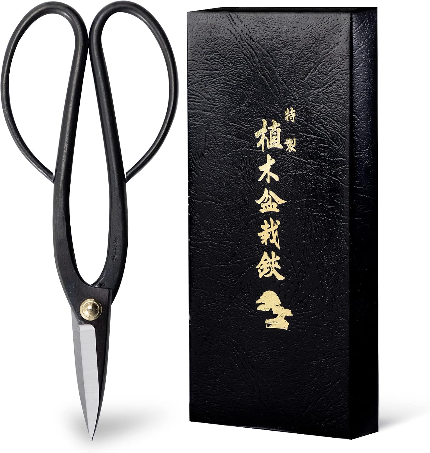 Wazakura Ciseaux Bonsaï Ashinaga 200 mm, Acier Yasugi Noir, Japon