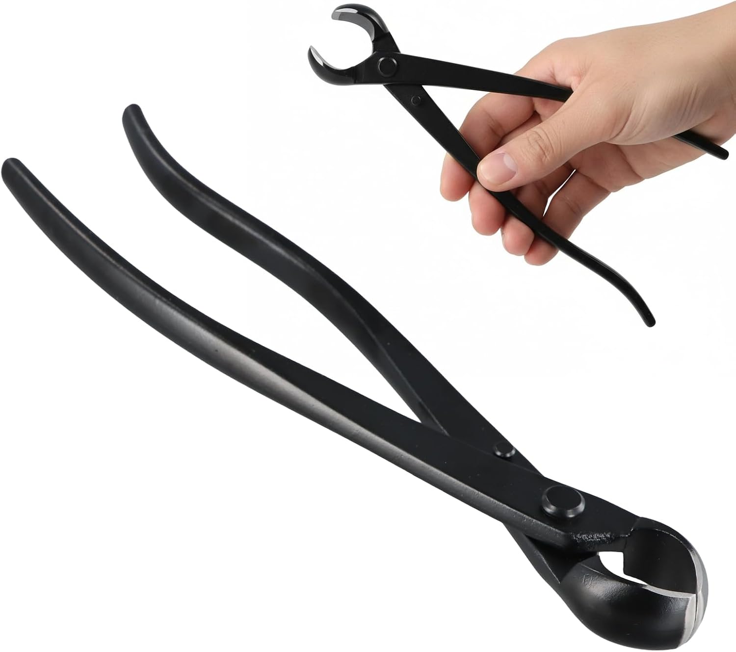Pince Coupante 205mm, Ciseaux Bonsai en Acier Inoxydable avec Bord Arrondi, Cutter Concave Professionnel, Coupe Branches pour Fleurs Fourchues Bonsaï Jardin Outils, Noir